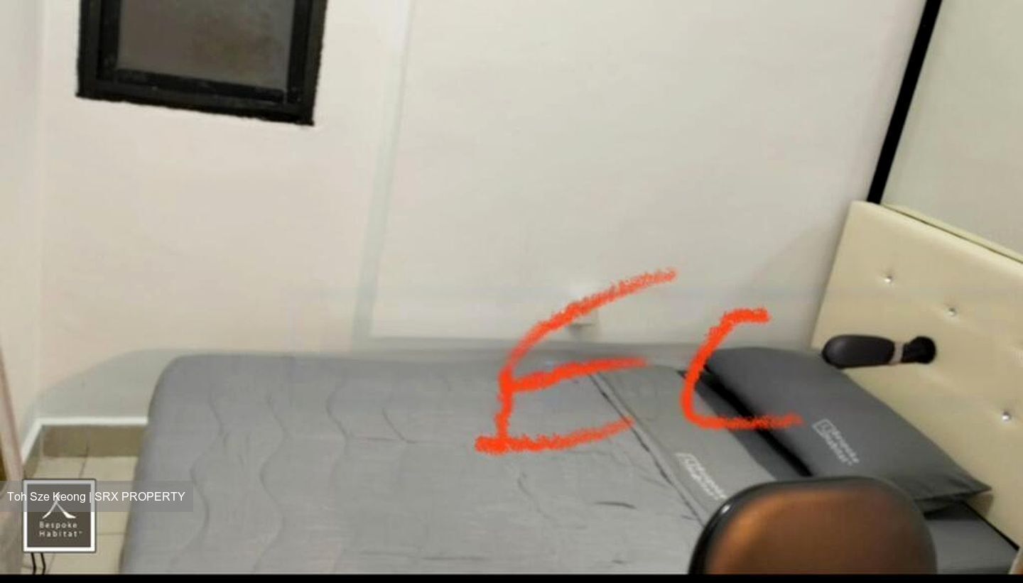 Simsville (D14), Condominium #490296811